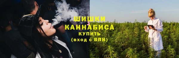 стаф Липки