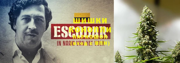 стаф Липки