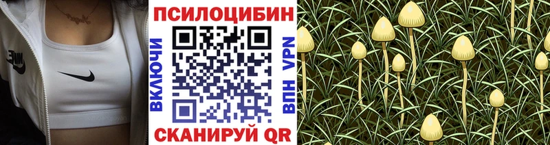 Галлюциногенные грибы прущие грибы  Купить закладки  Ярцево 
